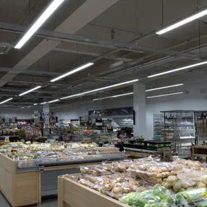 Waterdichte LED TL armaturen